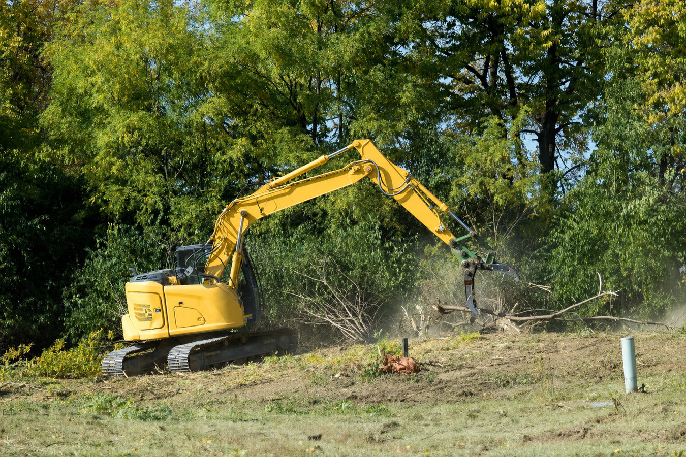 Land clearing in Napa, CA