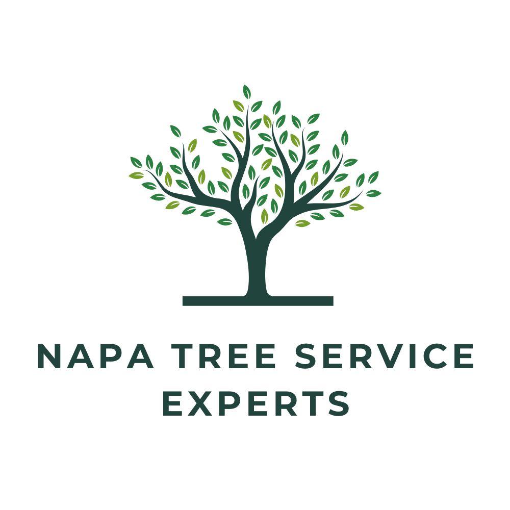 Napa Tree Service Experts